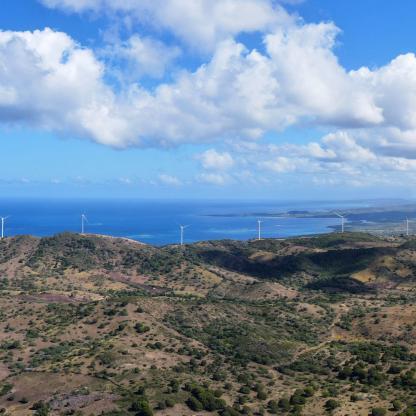 La force du vent pour énergie