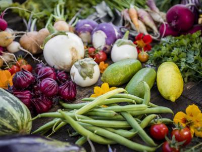Création d'agrienergie