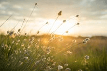 Nos engagements RSE_Volet Environnement