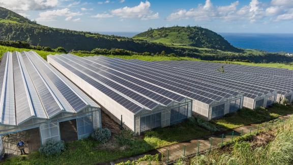 L'agrivoltaisme, notre première solution de production d'énergie photovoltaïque.