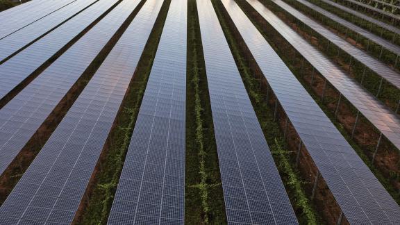 Panneau solaire les cèdres