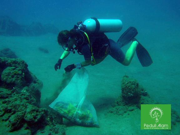 Réseau de collecte et de revalorisation des déchets non organiques