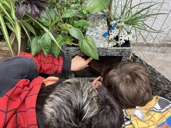 Cultiver la sensibilisation à l'environnement en Uruguay