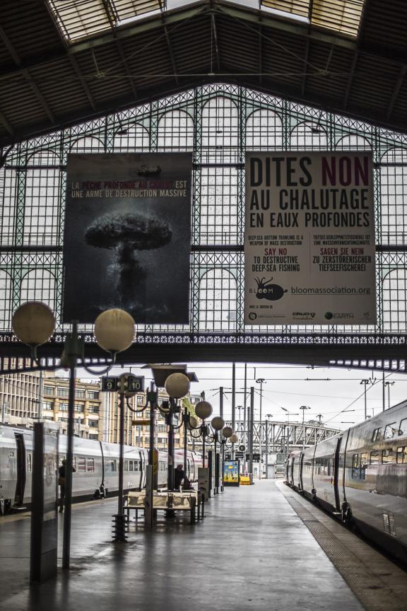 protection des océans Claire Nouvian Seaspiracy chalutage pêche eaux profondes