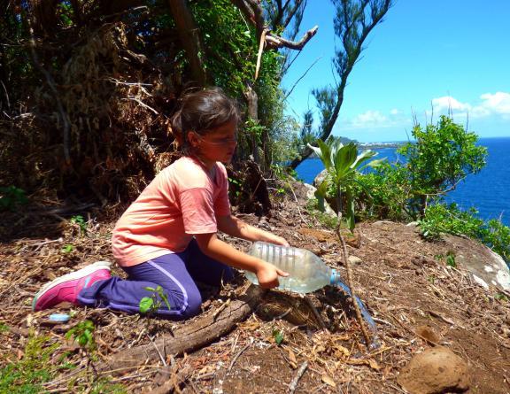 éco-volontariat à la Réunion