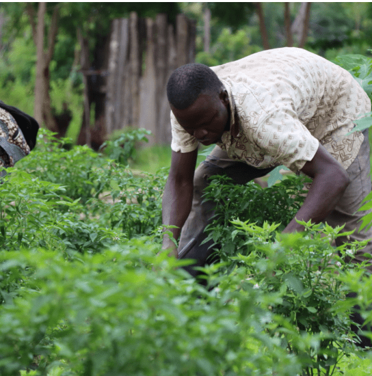 Les Experts solidaires