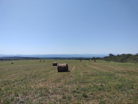 Photo-de-fraisse-cabardès