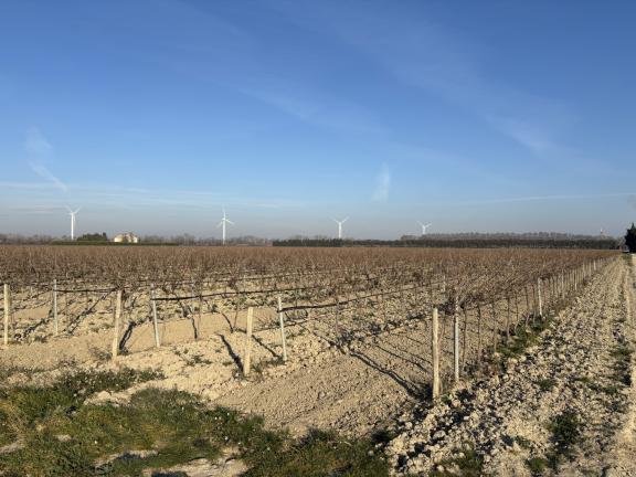 projet du Grand Castelet.jpg