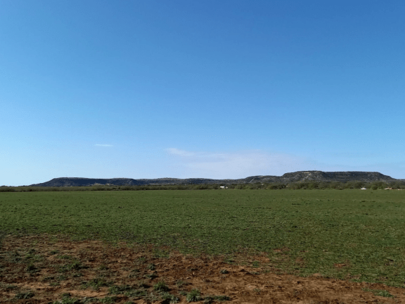 Tennyson-Header.png