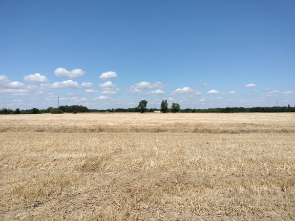 Beaumont sur Leze