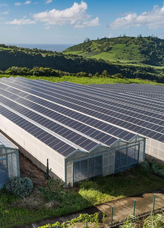 L'agrivoltaisme, notre première solution de production d'énergie photovoltaïque.