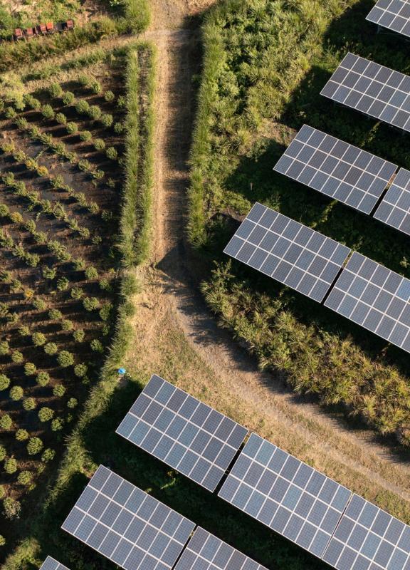 L'agrivoltaïsme, au dela de l'énergie verte