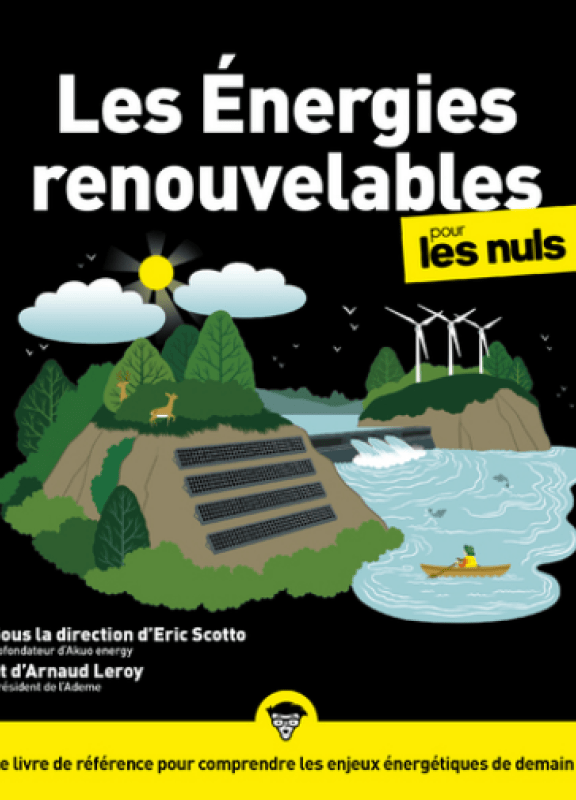 pour les nuls