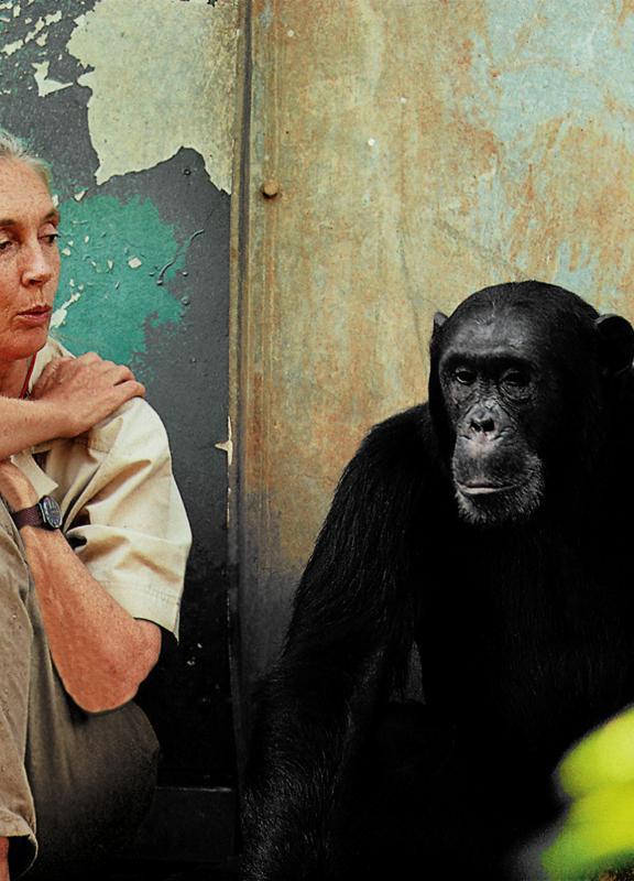 Restauration d'un corridor écologique au Burundi