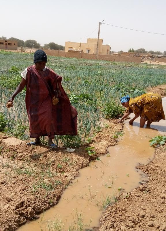 OM Fawrou Remobe : Sécurité alimentaire au Sénégal