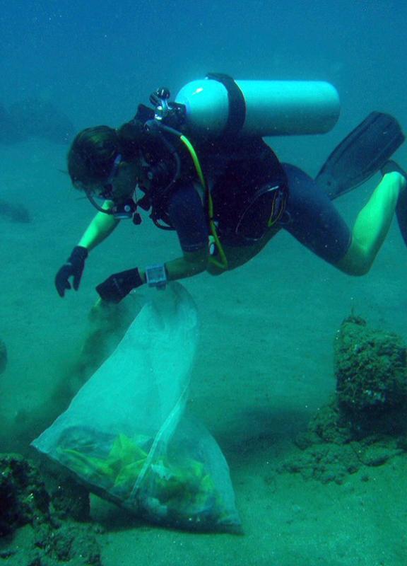 Réseau de collecte et de revalorisation des déchets non organiques