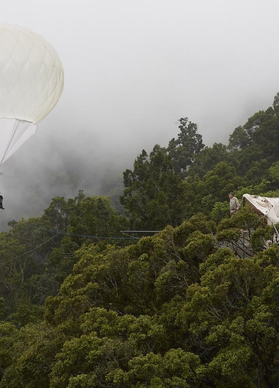Wallacea Canopée expédition scientifique Indonésie Bali