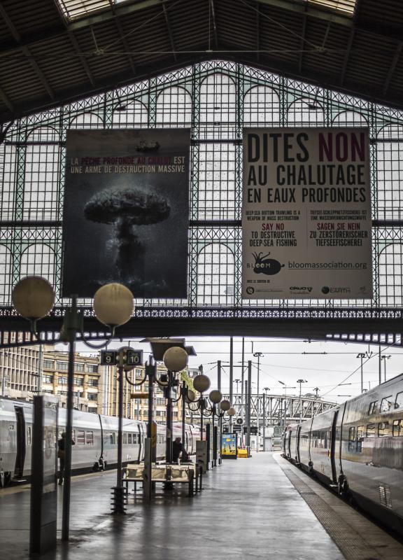 protection des océans Claire Nouvian Seaspiracy chalutage pêche eaux profondes