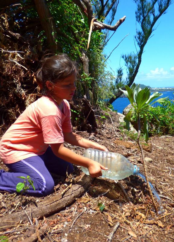 éco-volontariat à la Réunion