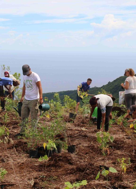 association arbres endémiques La Réunion