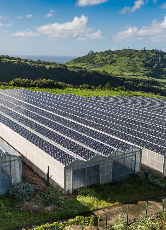 Panneaux Photovoltaïques