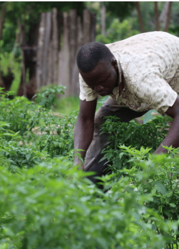 Les Experts solidaires