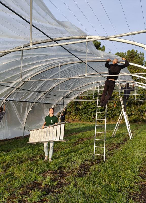 Planteurs d'Avenir