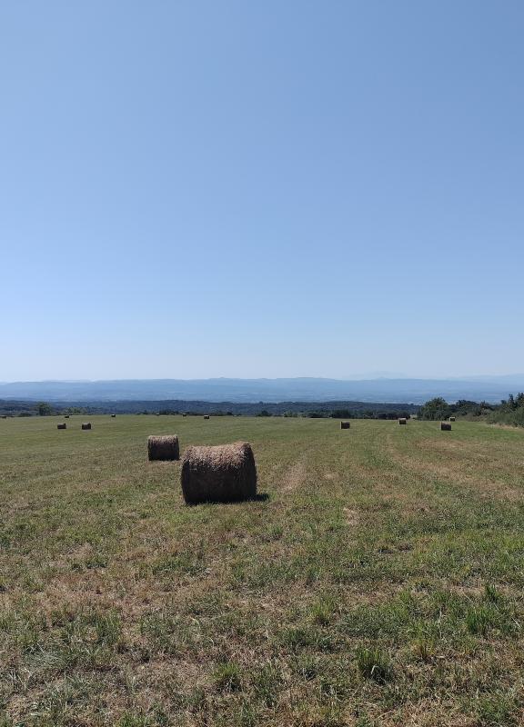 Photo-de-fraisse-cabardès