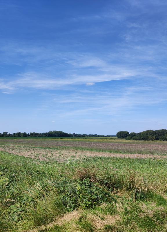 Grand-Bien-Lui-Vient_page de garde