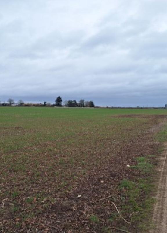 granges_page de garde.jpg