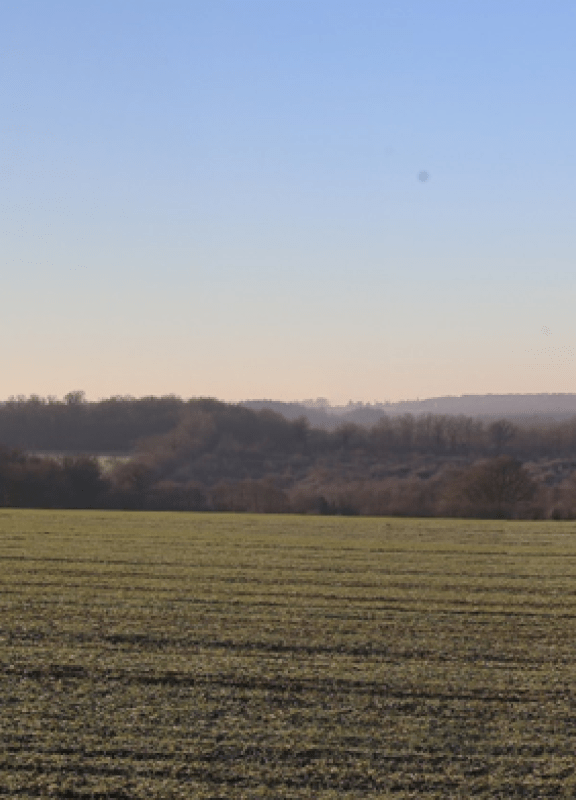 Projet des Pasdeloups - header