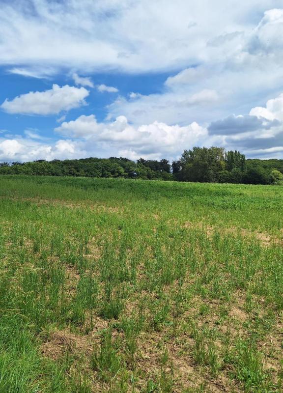 Header - projet du Posseck