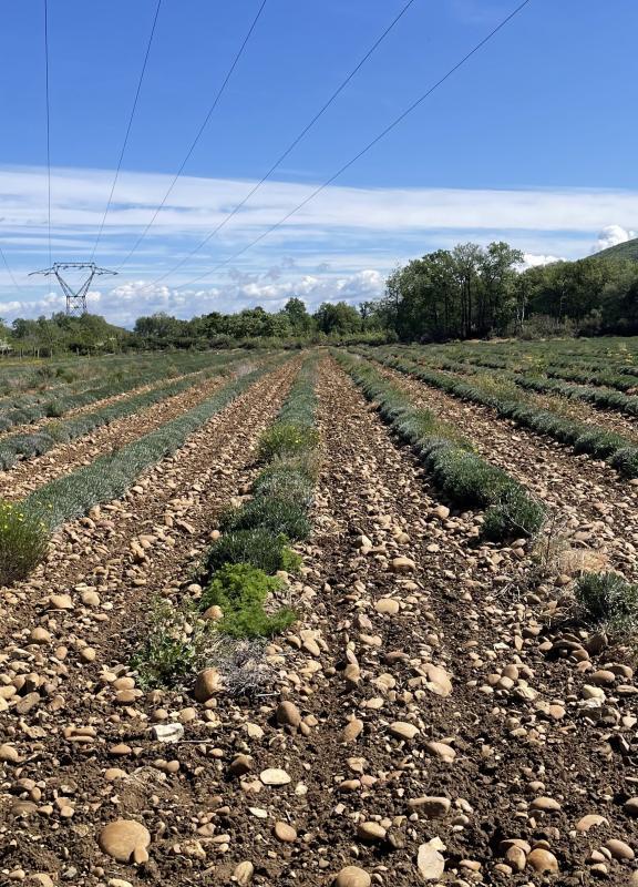 Header - projet d'Allan.jpg