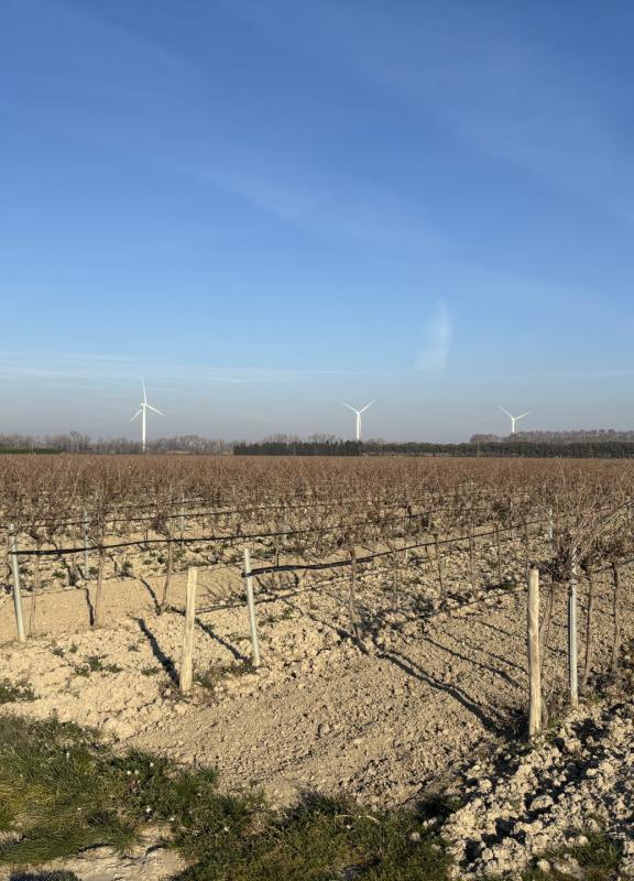 projet du Grand Castelet.jpg