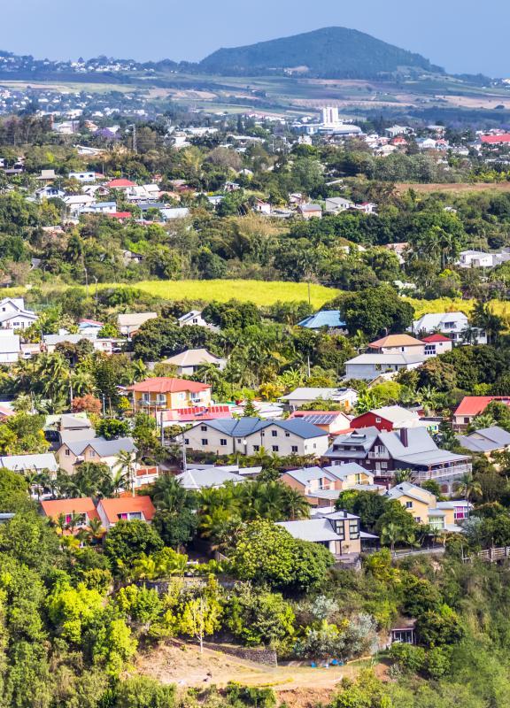 Header_Bras Sec.jpeg