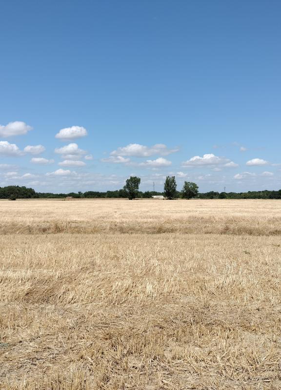 Beaumont sur Leze