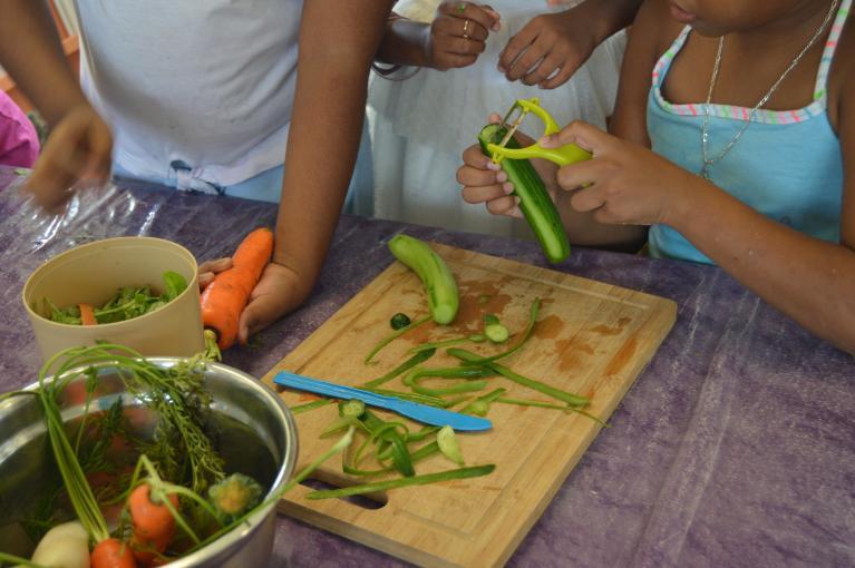 Landestini Coupe Potager La Réunion