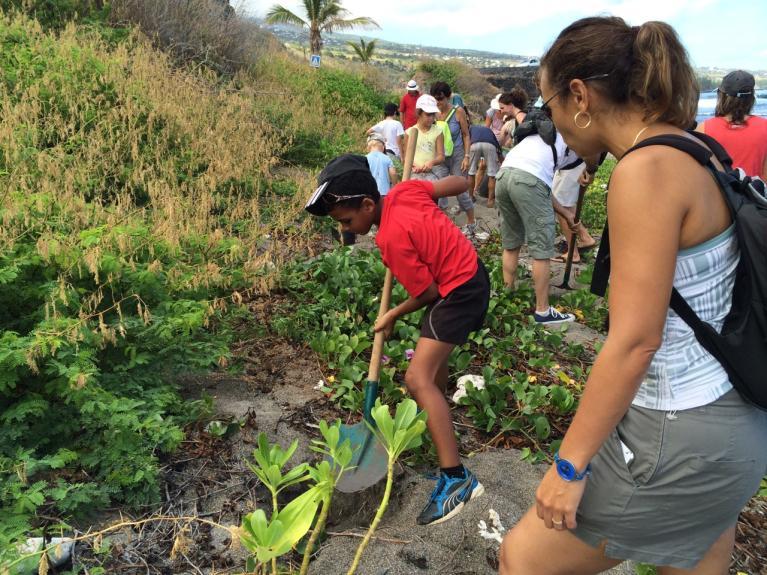 éco-volontariat à la Réunion