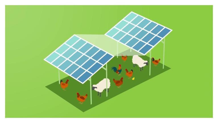 vid-agri-2.jpg