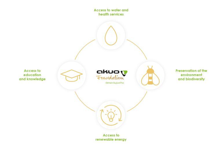 Foundation's missions