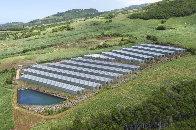 Panneaux Photovoltaïques