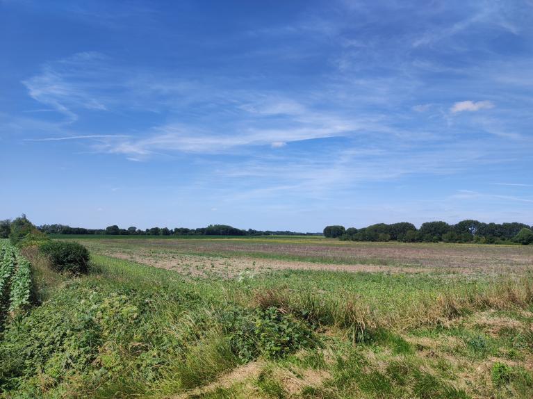 Grand-Bien-Lui-Vient_prez