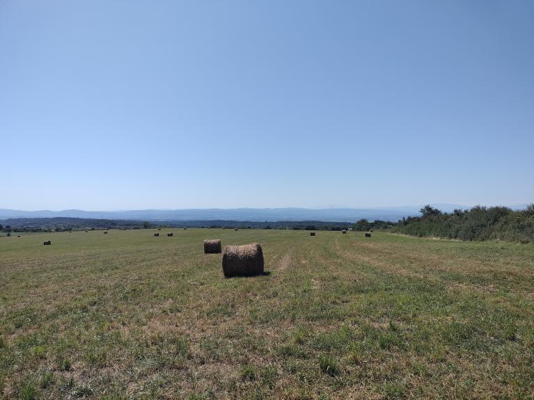 Photo-de-fraisse-cabardès