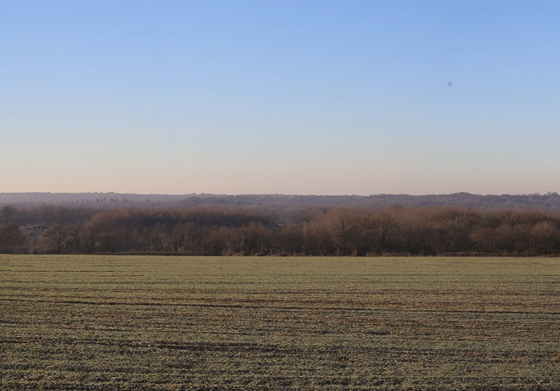 Projet des Pasdeloups - texte