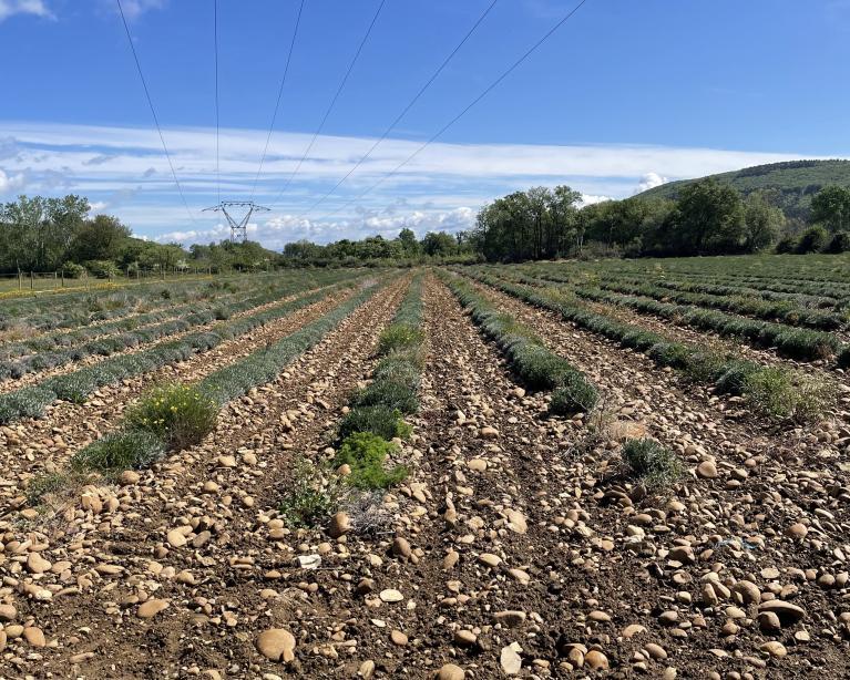 Header - projet d'Allan.jpg