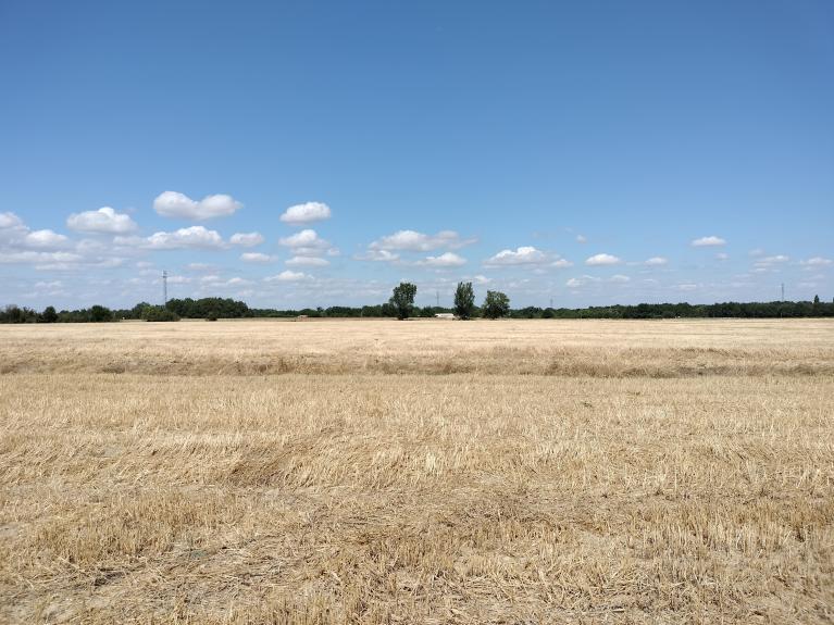 Beaumont sur Leze