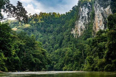 Wallacea Canopée expédition scientifique Indonésie Bali