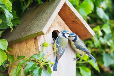 adobestock_241639790.jpg