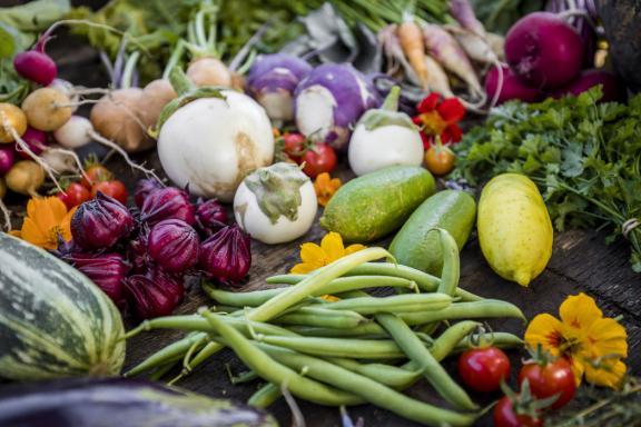 légumes produits sous serres agrivoltaïque