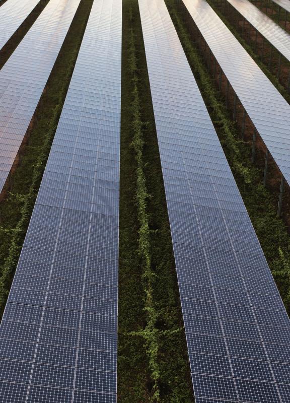 Panneau solaire les cèdres